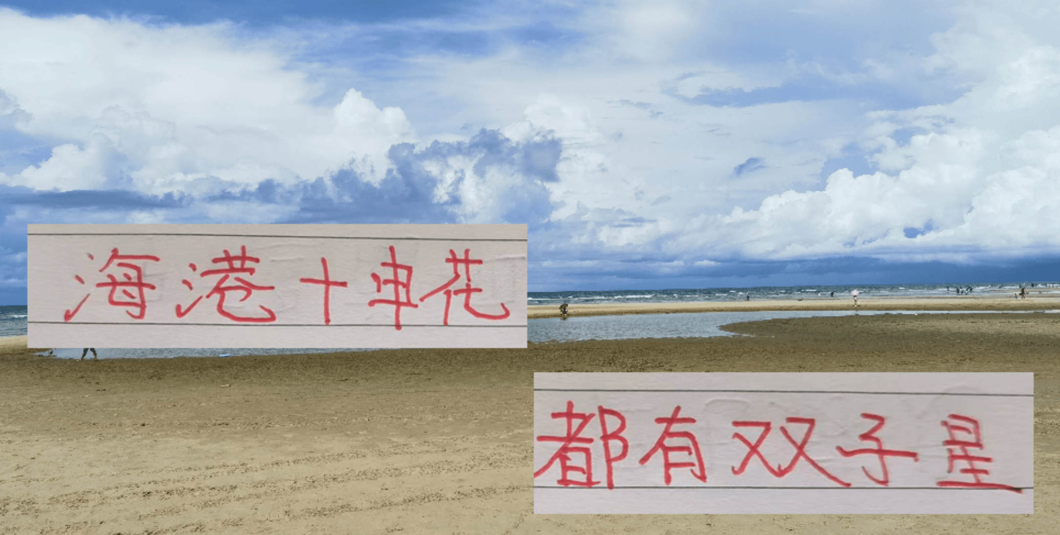 中超16轮下来 是申花的刘诚宇厉害 还是海港的李新翔更加帅